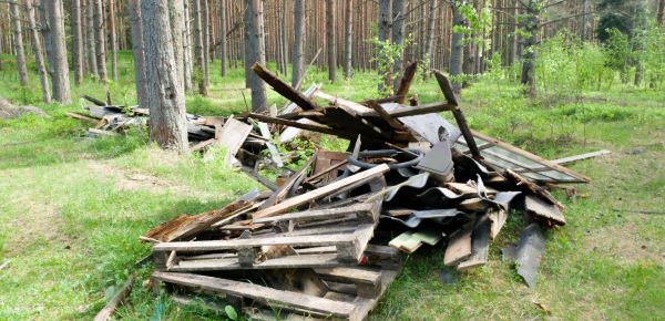 Debris Removal Service in Charleston