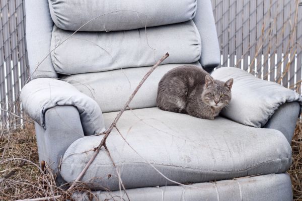 Recliner Disposal in Charleston